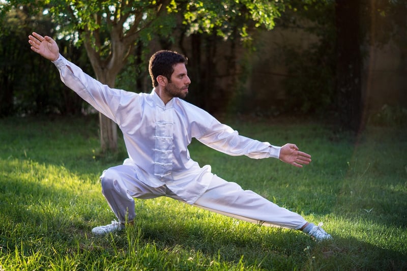 Wu Style Tai Chi