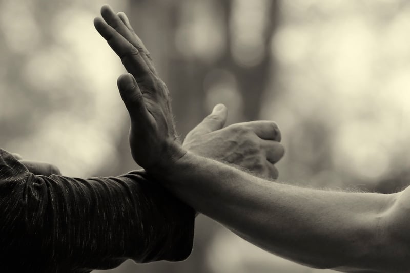 Chen Style Tai Chi Image